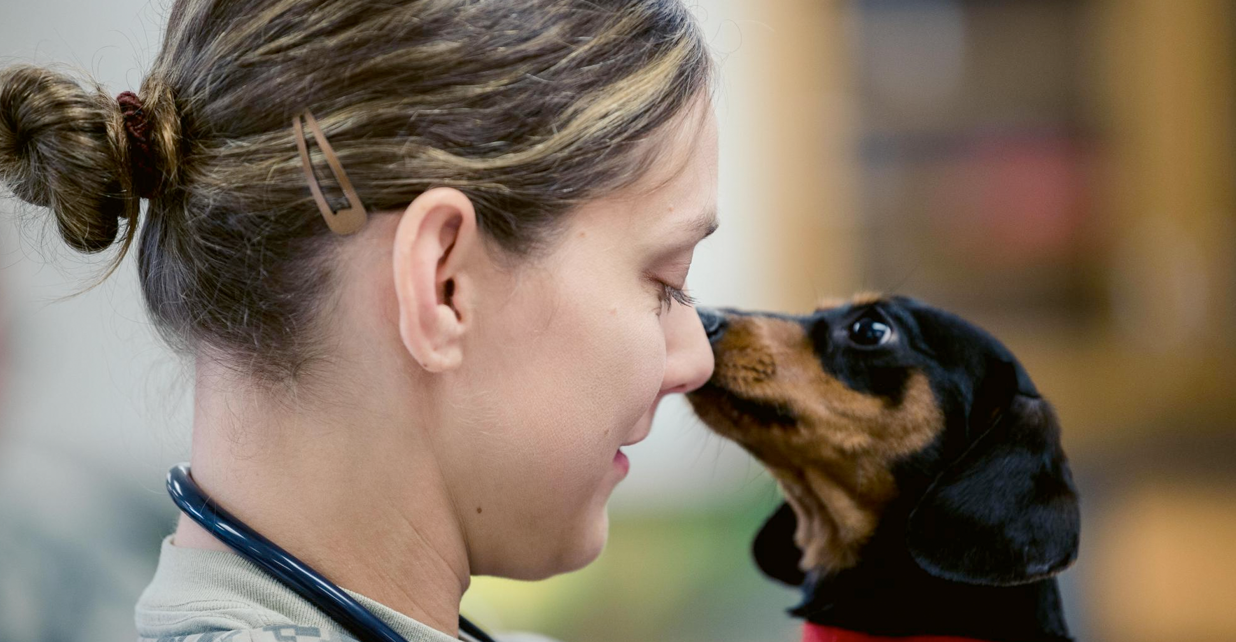 September NCGWG Meeting