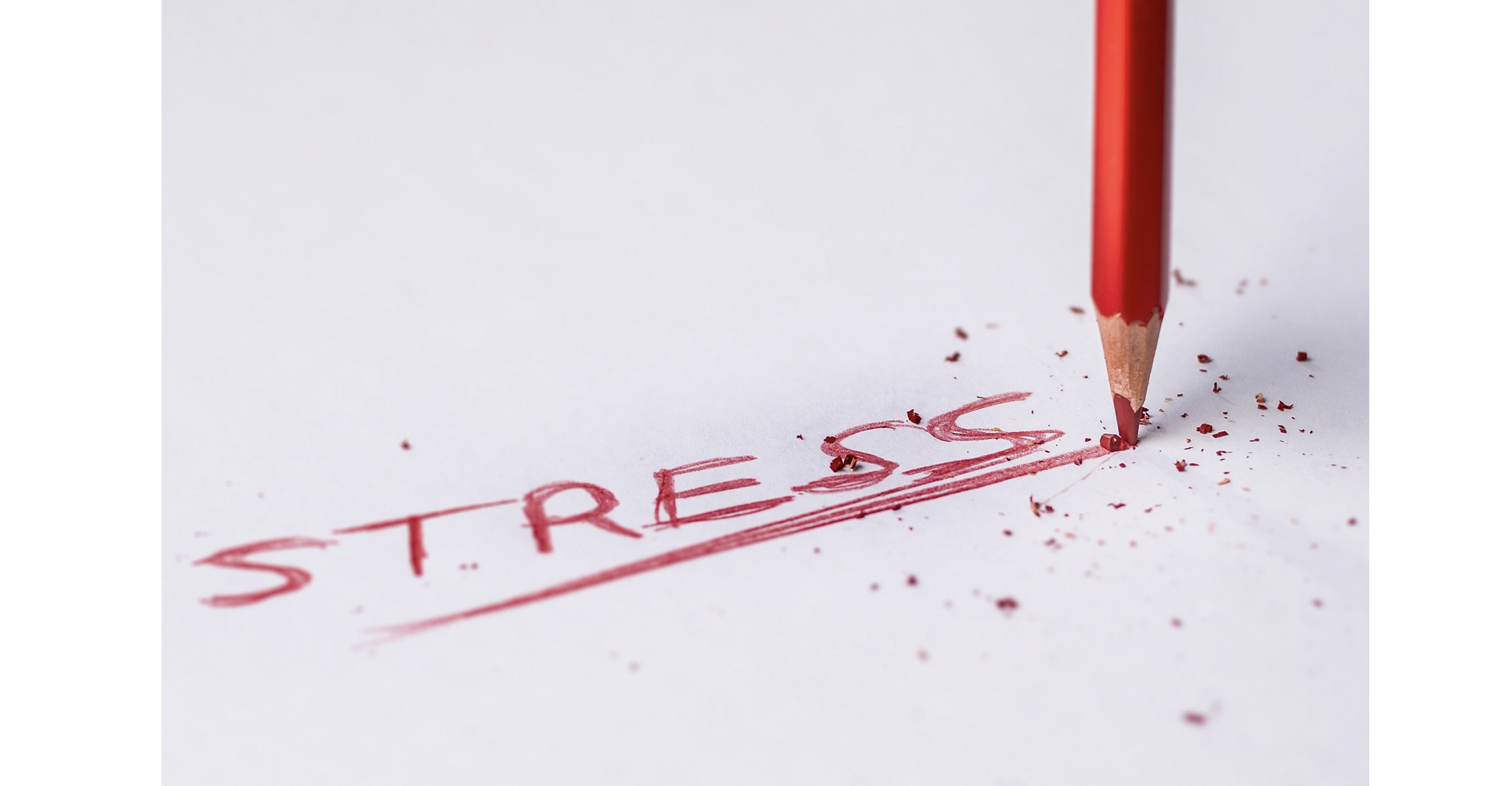 7 Stress Resources Veterans Can Use Right Now