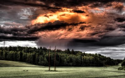 VA Creates 120-Day Task Force on Inclusion, Diversity, Equity and Access