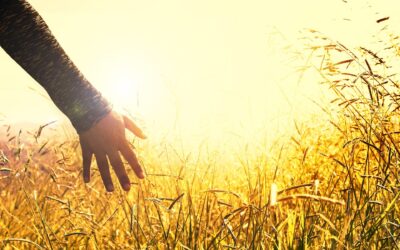 New, Free Character Development eCourse for Veterans and Transitioning Service Members