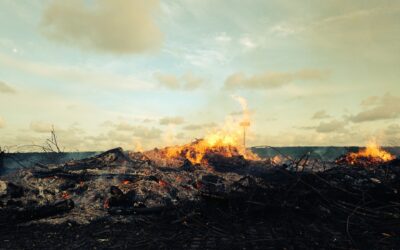 Disability Compensation Available for Veterans Exposed to Hazardous Materials