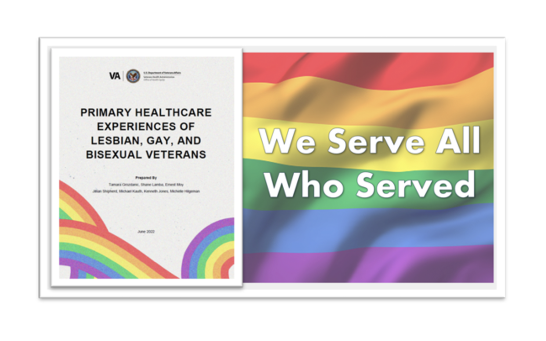New Lesbian, Gay and Bisexual Veteran Chartbook