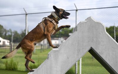 September 22nd NCGWG Meeting Information