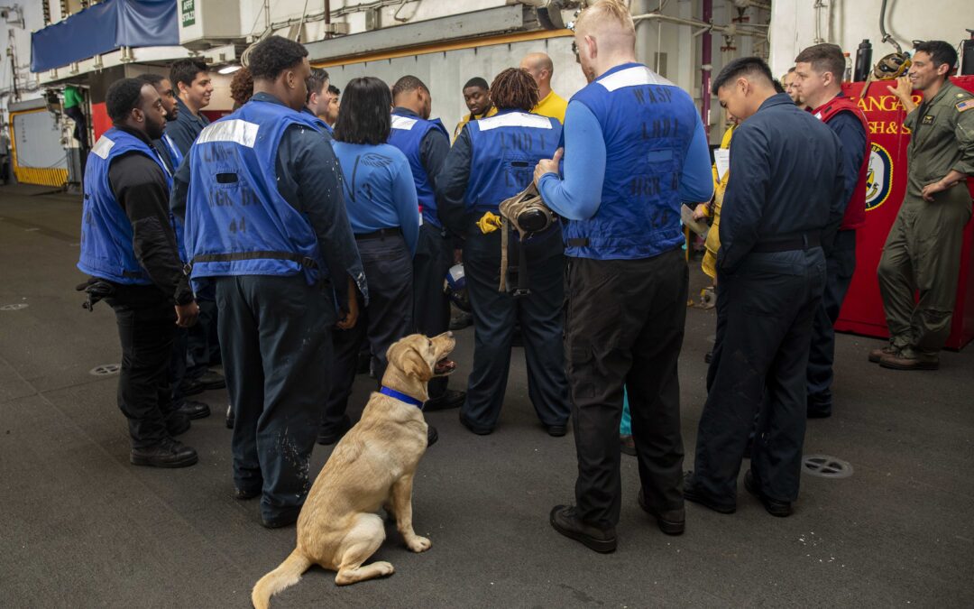 U.S. Navy’s Canine Pilot Program Gathers Data on Therapy Dog Impact