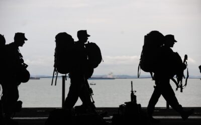 Insights from the National Veteran Suicide Prevention Annual Report