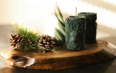 Supporting Veterans Through Holiday Stress and Challenges